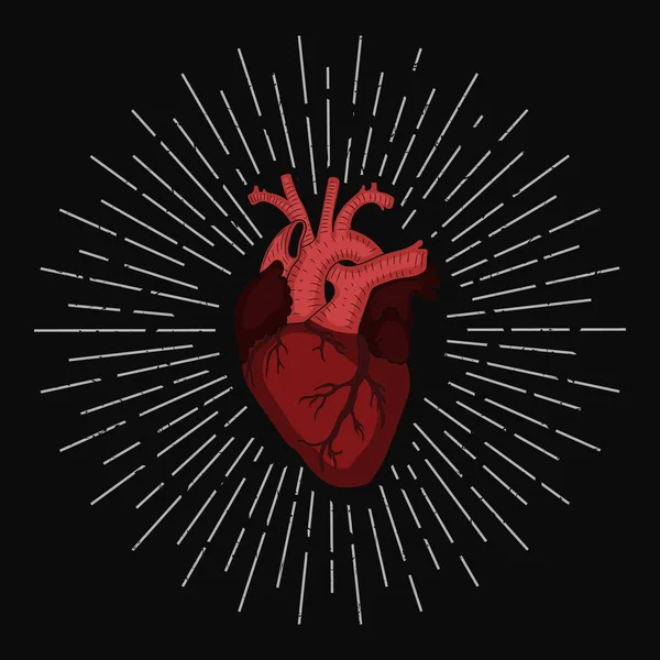 Αφηρημένη κόκκινη ανθρώπινη καρδιά, διανυσματική απεικόνιση. Μεμονωμένα. — Διανυσματικό Αρχείο