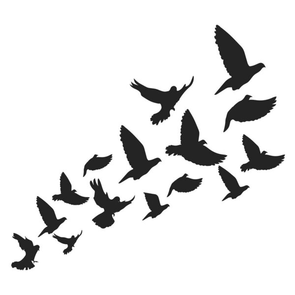Background with flying birds. Doves, vector illustration.