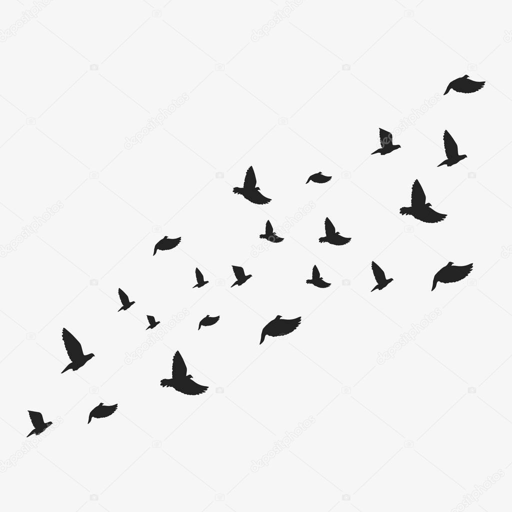 Background with flying doves. Vector illustration. Isolated.