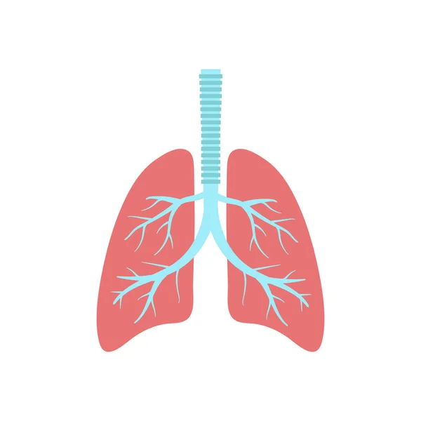 Icono de la ilstración vectorial de los pulmones. Diseño plano. Aislado . — Archivo Imágenes Vectoriales
