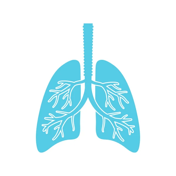 Ilustración vectorial de los pulmones sobre fondo blanco. Aislado . — Archivo Imágenes Vectoriales