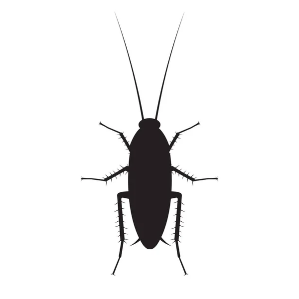 Cockroach silhouette vector illustration isolated on a white background. — Stock Vector