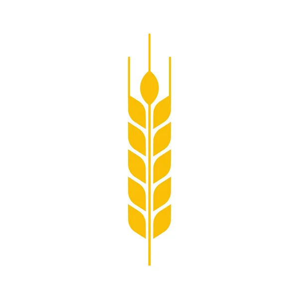 Vector illstration of wheat ear icon on white background. Isolated. — Stock Vector