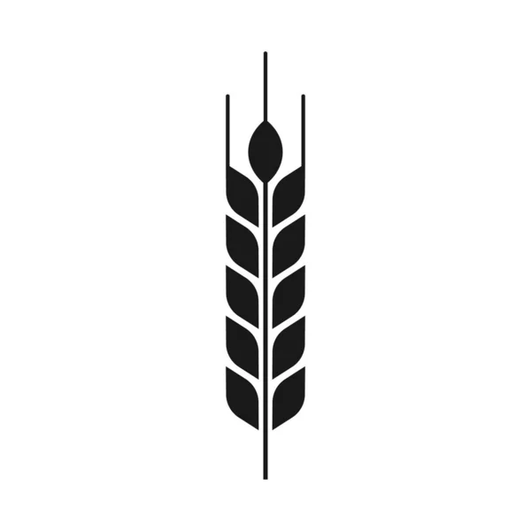 Vector illstration of wheat ears icon. Flat design. Isolated. — Stock Vector