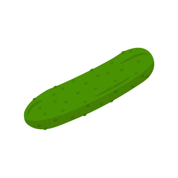 Illstration vectorielle du concombre sur fond blanc. Isolé . — Image vectorielle