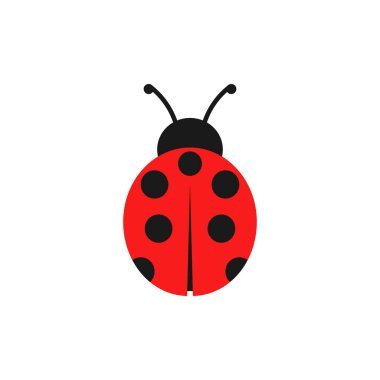 Uğur böceği ikonunun vektör illüzyonu. Düz dizayn. İzole edilmiş.