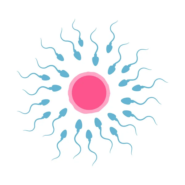 Spermatozoons and egg illustration. Vector. Isolated EPS10. — 스톡 벡터