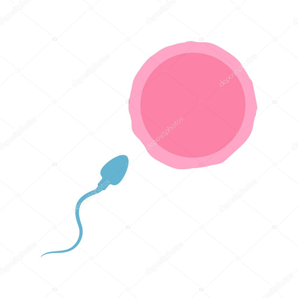 Vector illstration of sperm and egg on white background. Isolated.