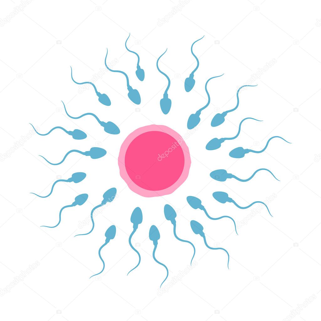 Spermatozoons and egg illustration. Vector. Isolated EPS10.