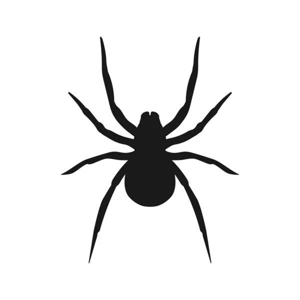 Illustrazione vettoriale dell'icona del ragno. Design piatto. Isolato . — Vettoriale Stock