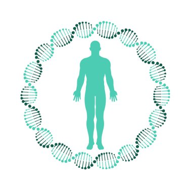 DNA ve insan vücudunun vektör yanılsaması. Düz dizayn. İzole edilmiş.