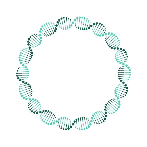 Векторная иллюстрация иконы ДНК круга. Плоский дизайн. Isolated . — стоковый вектор