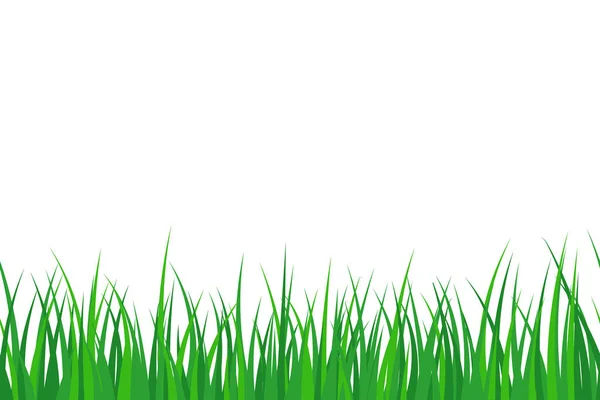 Vector illstration of grass seamles background. Flat design. Isolated. — 스톡 벡터