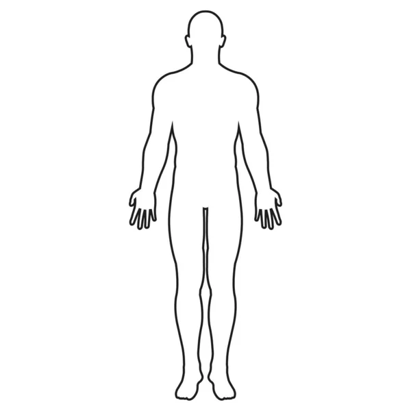 İnsan vücut simgesinin vektör yanılsaması. Tasarım. İzole edilmiş.