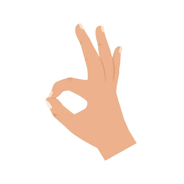 Vector illstration of hand, ok sign. Flat design. Isolated. — Stock Vector