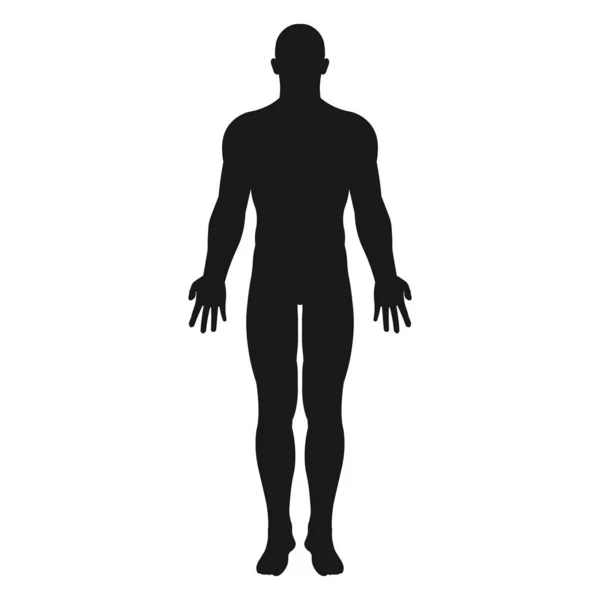 Vector illstration of human body icon. Flat design. Isolated. — 스톡 벡터