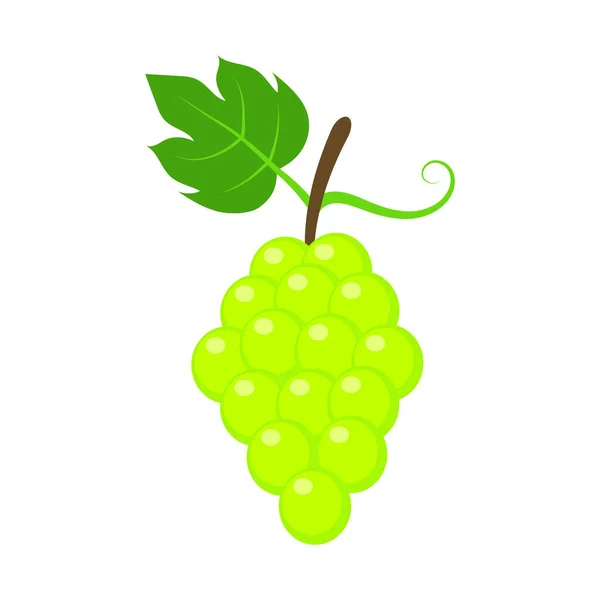 A zöld szőlő ikon vektoros illusztrációja. Lapos kialakítás. Elszigetelt. — Stock Vector