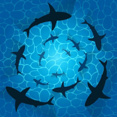 Vector illstration of sharks in ocean. Isolated.
