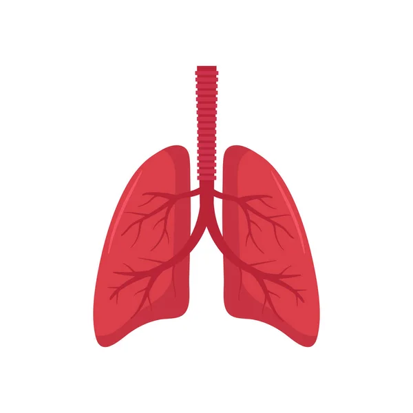 Vector illstration of lungs. Flat design. Isolated. — Stok Vektör