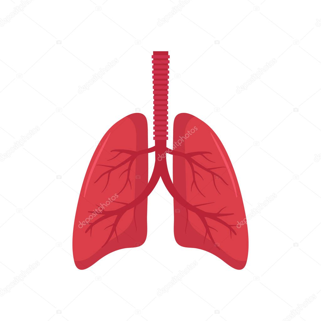 Vector illstration of lungs. Flat design. Isolated.