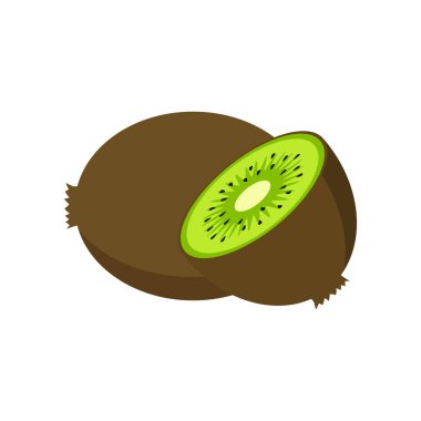Vector illstration of kiwi on white background. Isolated.