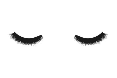 Vector illstration of eyelashes on white background. Isolated.