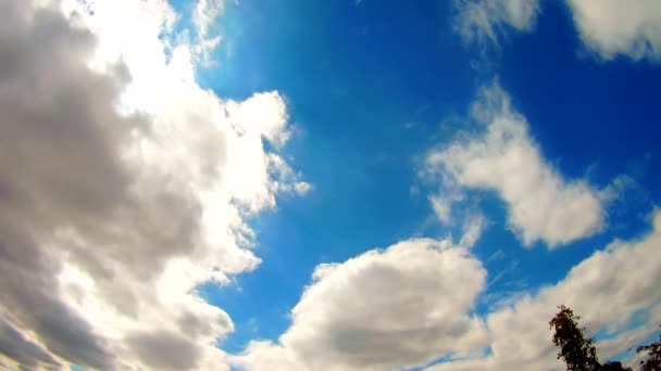 Nebeský den. Přirozené složení oblohy. Prvek designu. — Stock video