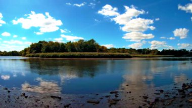 Cinemagraph. Yaz doğa orman göl manzara, t