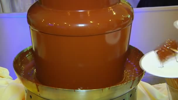 Flux de chocolat. Fontaine cascades chocolat chaud . — Video