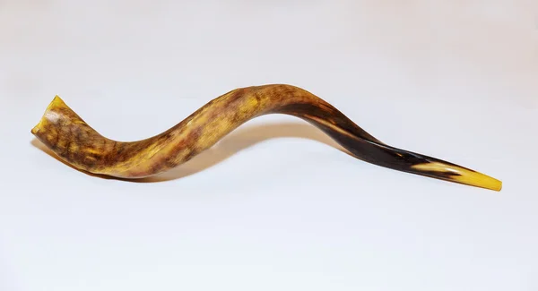 Shofar a tallit auf weißem Hintergrund - rosh hashanah jewesh holiday concept — Stockfoto