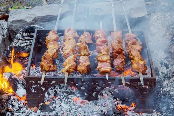 烹调猪肉串上叉，而在火盆户外 — 图库照片