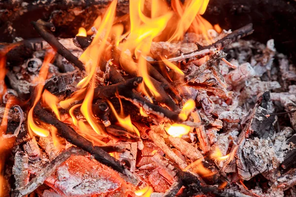 Bosques de fuego y carbón caliente en una parrilla — Foto de Stock