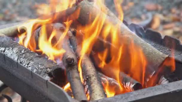 Огонь горит в замедленной съемке, дрова падают огонь Медленное движение — стоковое видео