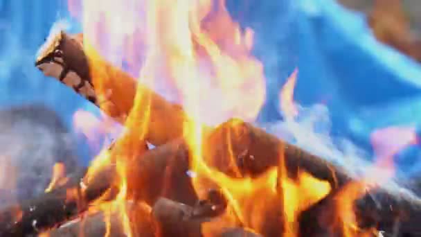 Fire burning in slow motion with wood falling wood fire Slow Motion — Stock Video