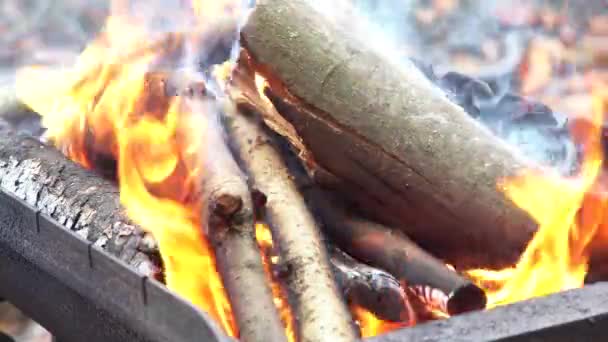 Vreugdevuur in het bos tijdens op de zomer. Vuur branden in slow motion met hout — Stockvideo