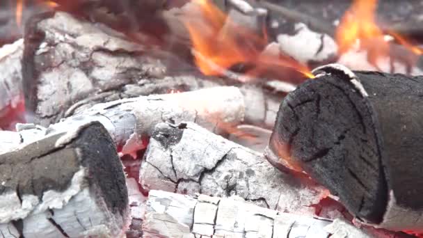 Carbones en descomposición para cocinar y un fuego de carbón de leña de fondo — Vídeos de Stock