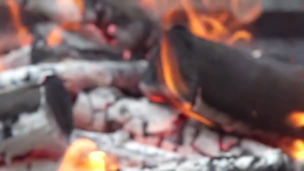 Carvões em decomposição para cozinhar e fogo de carvão de madeira de fundo — Vídeo de Stock