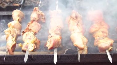 Barbekü sığır eti kebaplar sıcak ızgara yakın çekim üzerinde. Alevler arka plan ateş