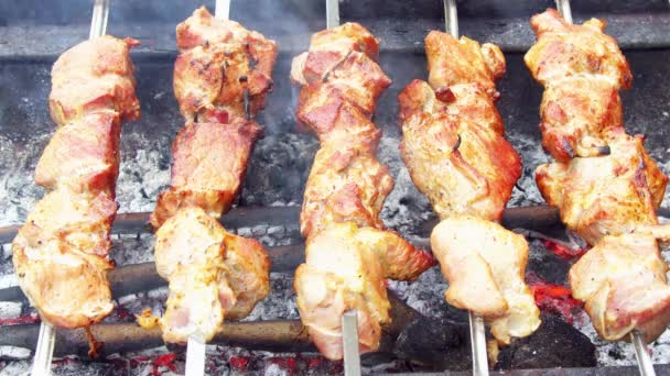 Carne appesa su spiedini arrosto su carboni ardenti. Cucinare shashlik di maiale su spiedo, in braciere all'aperto . — Video Stock