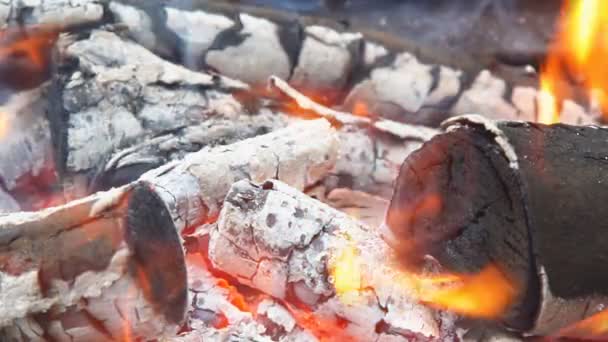 Пламя и дым от горящего дерева замедленного движения — стоковое видео