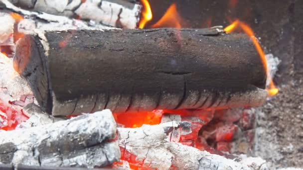 Llamas y humo de la leña en cámara lenta — Vídeos de Stock