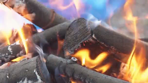 Fogueira na floresta durante o verão. Fogo queimando em câmera lenta com madeira — Vídeo de Stock