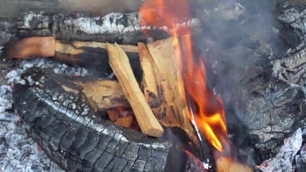 Carbón y leña ardiendo en una parrilla, cerca de imágenes . — Vídeos de Stock