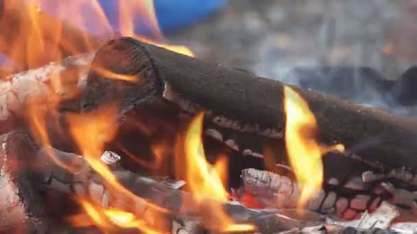 Lassú mozgás: Közelről egy tábortűz tűz lángok, égő jellegű részletek. — Stock videók