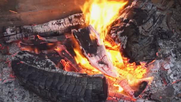 Slow Motion: Close-up details van een kampvuur brand vlammen branden in de natuur. — Stockvideo