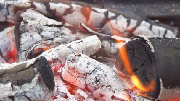 MOCIÓN LENTA: Acercamiento de los detalles de una fogata llamas de fuego ardiendo en la naturaleza . — Vídeos de Stock