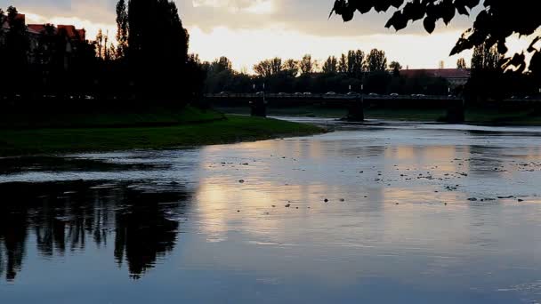 Coucher de soleil sur la rivière Uzh dans la ville d'Uzhgorod, Ukraine — Video