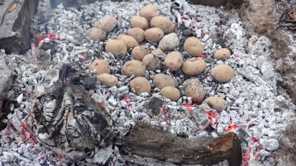 Bakad potatis i en brand — Stockvideo