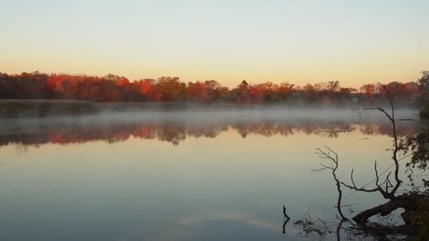 La niebla se levanta sobre el río. A orillas del bosque de otoño . — Vídeos de Stock