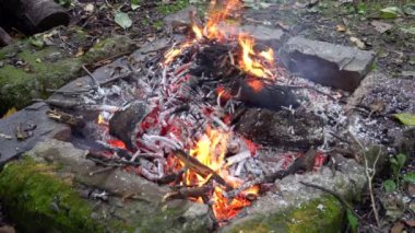 Barbekü Izgara alev ateş kömür Barbekü arka plan